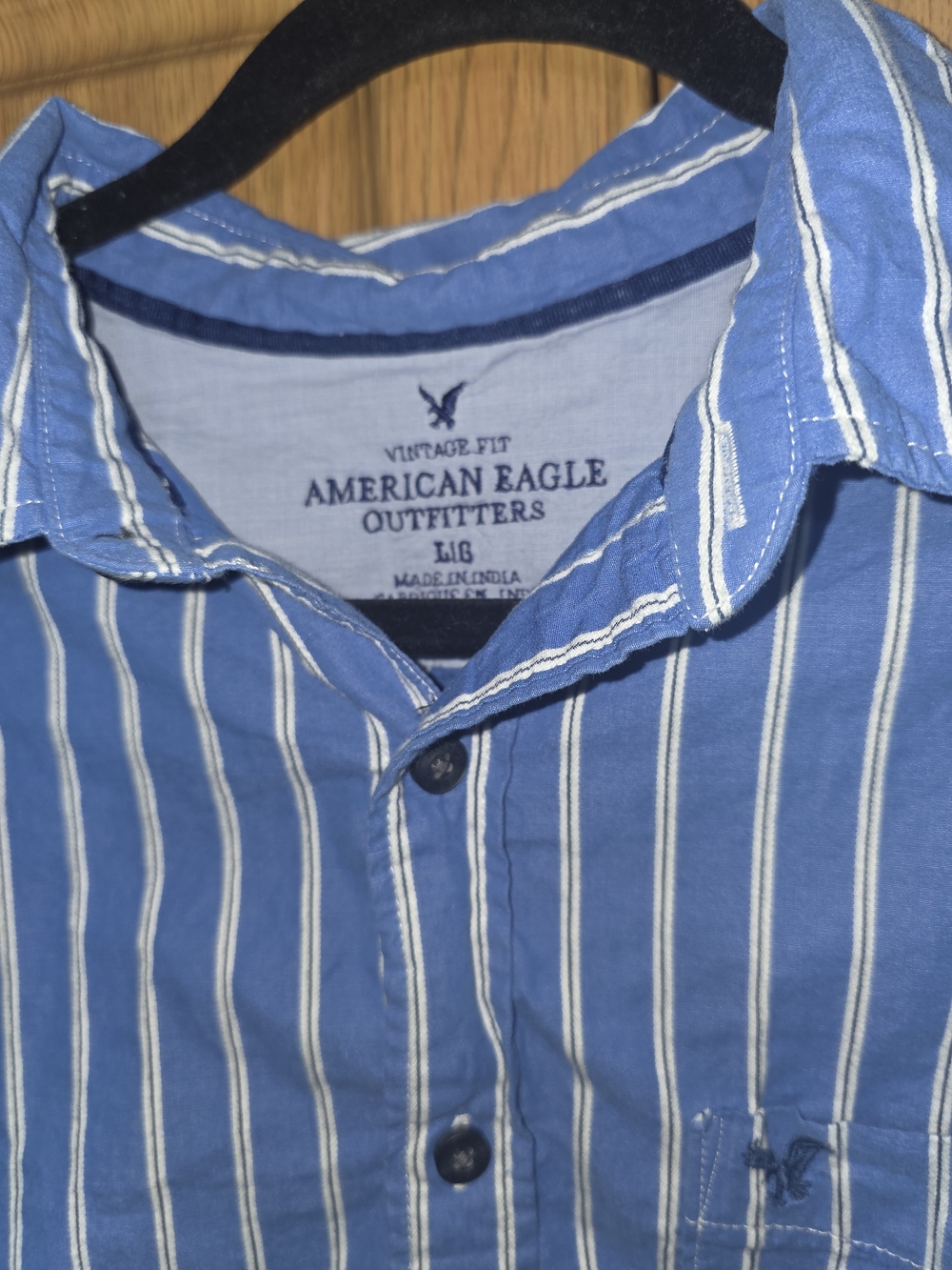 American Eagle Outfitters Blue and White Vertical Stripe Button-Down Shirt